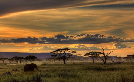 Jornada de Africa